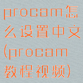 procam怎么设置中文(procam教程视频)