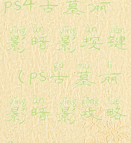 ps4古墓丽影暗影按键(ps古墓丽影暗影攻略)