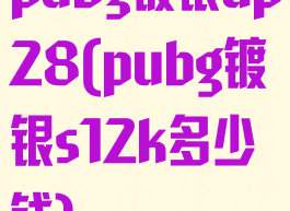 pubg镀银dp28(pubg镀银s12k多少钱)