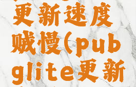 pubglite更新速度贼慢(pubglite更新太慢)