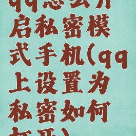 qq怎么开启私密模式手机(qq上设置为私密如何打开)