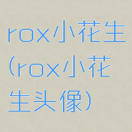 rox小花生(rox小花生头像)