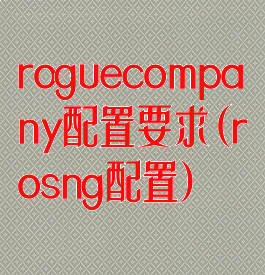 roguecompany配置要求(rosng配置)