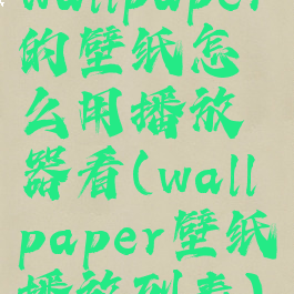 wallpaper的壁纸怎么用播放器看(wallpaper壁纸播放列表)