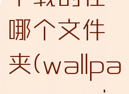 wallpaperengine下载的在哪个文件夹(wallpaperengine下载的壁纸在哪)