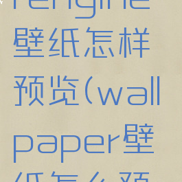 wallpaperengine壁纸怎样预览(wallpaper壁纸怎么预览)