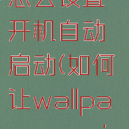 wallpaperengine怎么设置开机自动启动(如何让wallpaperengine开机自启)