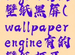wallpaperengine有的壁纸黑屏(wallpaperengine有的壁纸打开黑屏)