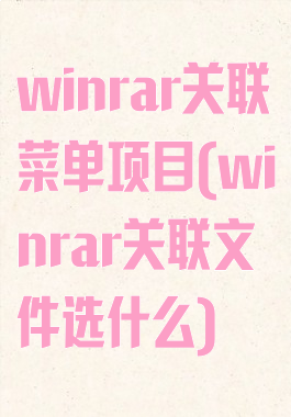 winrar关联菜单项目(winrar关联文件选什么)