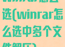 winrar怎么选(winrar怎么选中多个文件解压)