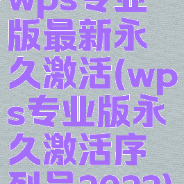 wps专业版最新永久激活(wps专业版永久激活序列号2022)
