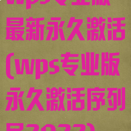 wps专业版最新永久激活(wps专业版永久激活序列号2022)