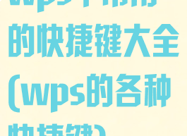 wps中常用的快捷键大全(wps的各种快捷键)