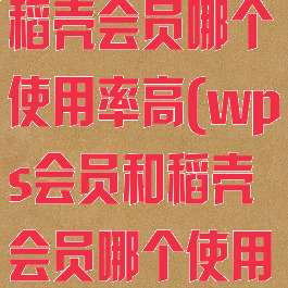 wps会员和稻壳会员哪个使用率高(wps会员和稻壳会员哪个使用率高一点)