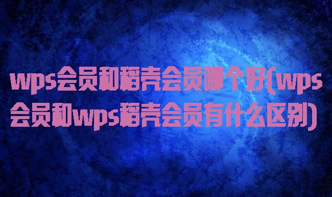 wps会员和稻壳会员哪个好(wps会员和wps稻壳会员有什么区别)