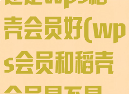 wps会员好还是wps稻壳会员好(wps会员和稻壳会员是不是一回事)