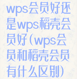 wps会员好还是wps稻壳会员好(wps会员和稻壳会员有什么区别)