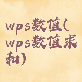 wps数值(wps数值求和)