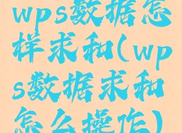 wps数据怎样求和(wps数据求和怎么操作)