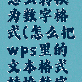 wps文本怎么转换为数字格式(怎么把wps里的文本格式转换数字格式)
