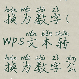 wps文本转换为数字(wps文本转换为数字公式)