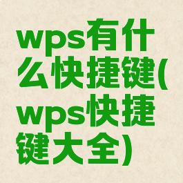 wps有什么快捷键(wps快捷键大全)