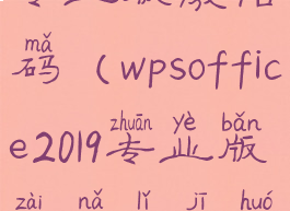wpsoffice2019专业版激活码(wpsoffice2019专业版在哪里激活)