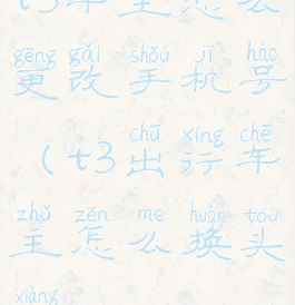 t3车主怎么更改手机号(t3出行车主怎么换头像)