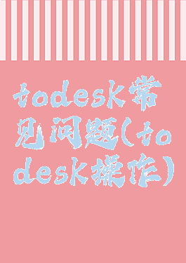 todesk常见问题(todesk操作)