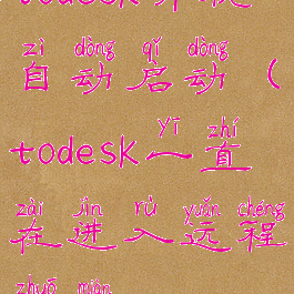 todesk开机自动启动(todesk一直在进入远程桌面)