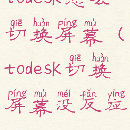 todesk怎么切换屏幕(todesk切换屏幕没反应)