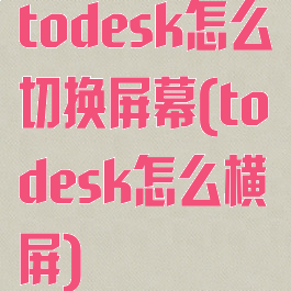 todesk怎么切换屏幕(todesk怎么横屏)