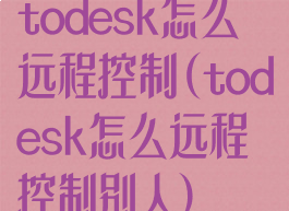 todesk怎么远程控制(todesk怎么远程控制别人)