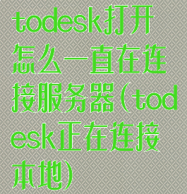 todesk打开怎么一直在连接服务器(todesk正在连接本地)