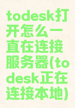 todesk打开怎么一直在连接服务器(todesk正在连接本地)