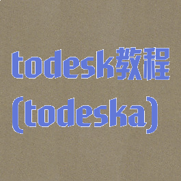 todesk教程(todeska)