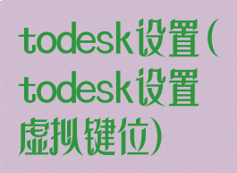 todesk设置(todesk设置虚拟键位)