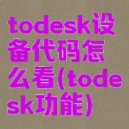 todesk设备代码怎么看(todesk功能)
