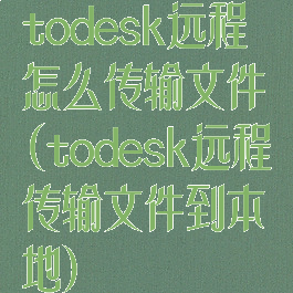 todesk远程怎么传输文件(todesk远程传输文件到本地)