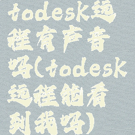 todesk远程有声音吗(todesk远程能看到我吗)