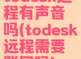 todesk远程有声音吗(todesk远程需要联网吗)