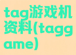 tag游戏机资料(taggame)