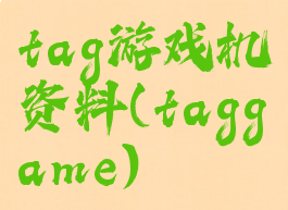 tag游戏机资料(taggame)