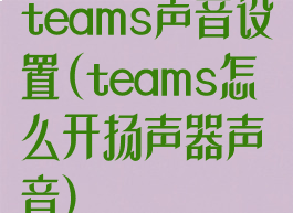 teams声音设置(teams怎么开扬声器声音)