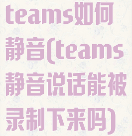teams如何静音(teams静音说话能被录制下来吗)
