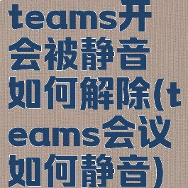 teams开会被静音如何解除(teams会议如何静音)