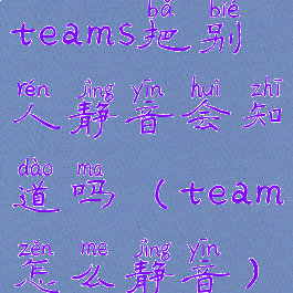 teams把别人静音会知道吗(team怎么静音)