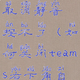 teams无法取消静音按不了(如何关闭teams右下角自动弹出)
