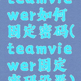 teamviewer如何固定密码(teamviewer固定密码设置)