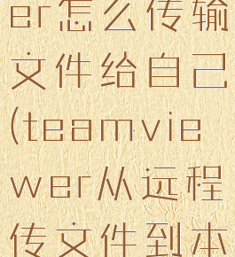 teamviewer怎么传输文件给自己(teamviewer从远程传文件到本地)